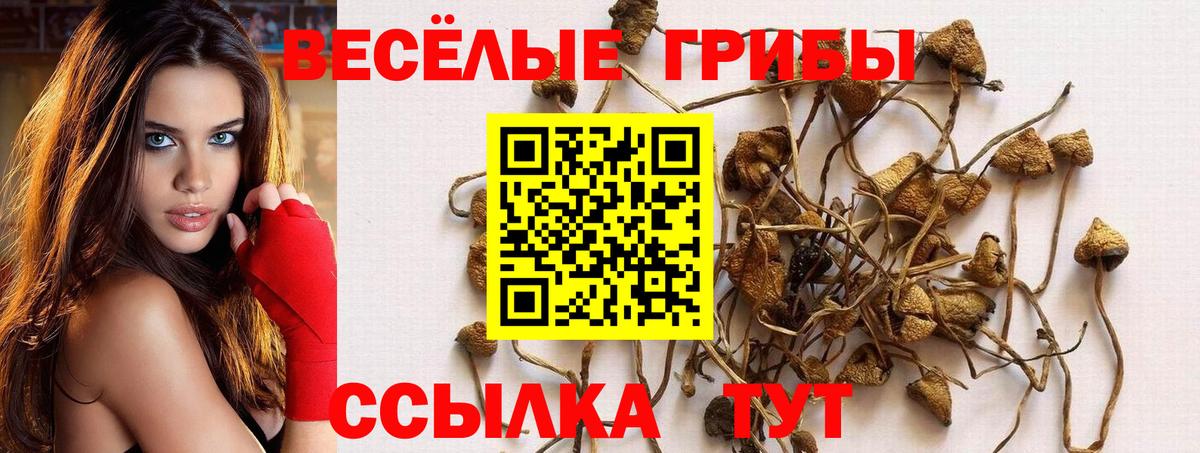 Галлюциногенные грибы ЛСД  Вход с VPN  Дмитров 