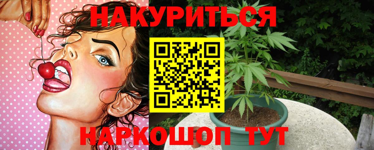 Канабис гибрид Дмитров